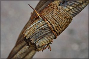 Rost -SD14 - SDIM3905.jpg