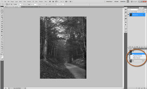 red channel.jpg red channel.jpg