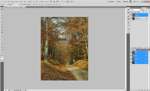 SPPdeveloped.jpg SPPdeveloped.jpg