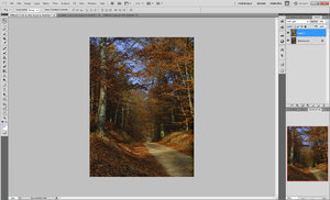 combinedwithsoftlight75opac.jpg combinedwithsoftlight75opac.jpg