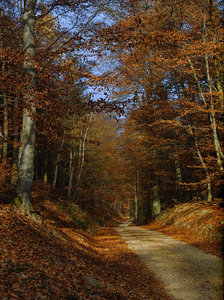 PIMG0177.jpg PIMG0177.jpg