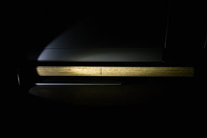 SDIM1804 15 L spot Kopie.JPG