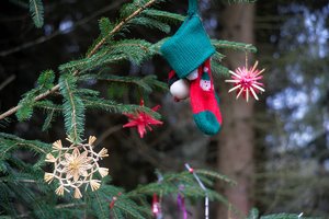 _DSC1485.jpg _DSC1485.jpg