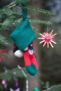 _DSC1492.jpg _DSC1492.jpg