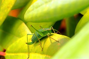 comp_DSC00004 (3)ff.jpg