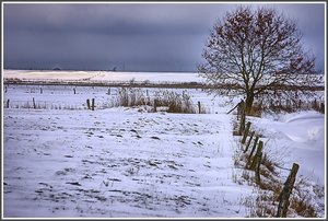 Weihnachtslandschaft 500 kbPnoramabild mit Baum.jpgund RDH.jpg