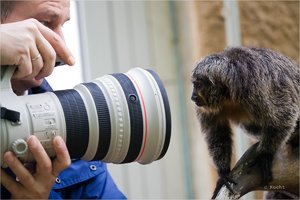 comp_4W6V9591.jpg comp_4W6V9591.jpg