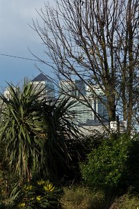 London Dezember 2011 (183).jpg