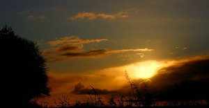 Bäume bei wechselndem Licht 500 kbBauer Diers Bäume überbelichteterSonnenuntergang0001.jpg