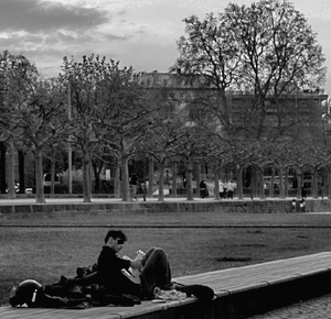 2117_cropped_sw balken.png