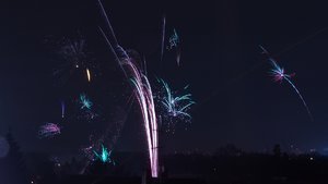 Sylvester 2011-5.jpg