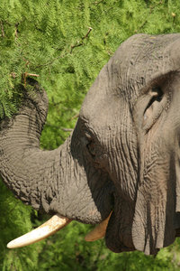 Kopie von IMG_9338.JPG