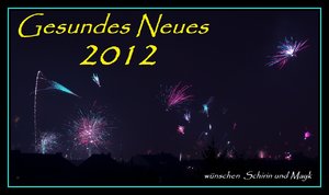 Sylvester 2011-3 - Kopie.jpg