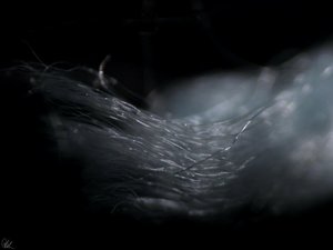 wool_by_artelanas-d4ki6xr.jpg wool_by_artelanas-d4ki6xr.jpg