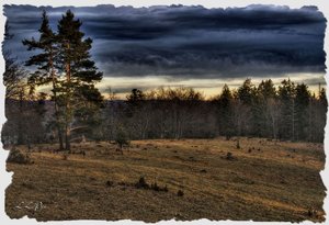 Heiter bis Wolkig.jpg