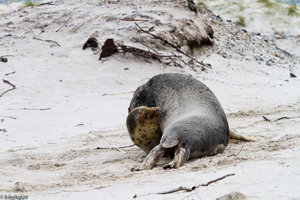 IMG_2272.jpg IMG_2272.jpg