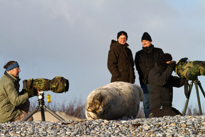 IMG_2561.jpg IMG_2561.jpg