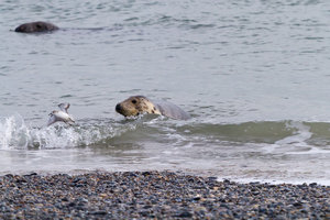 IMG_3244.jpg IMG_3244.jpg