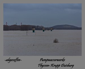 Jan.2012  1.Rheinhochwasser-3.jpg