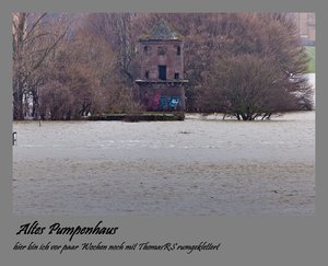 Jan.2012  1.Rheinhochwasser-5.jpg
