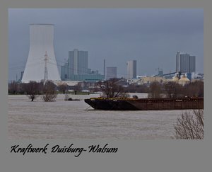 Jan.2012  1.Rheinhochwasser-7.jpg