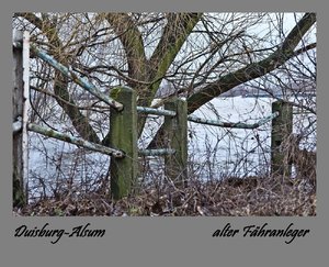Jan.2012  1.Rheinhochwasser-2.jpg