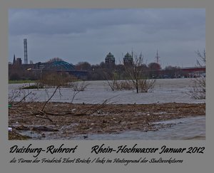 Jan.2012  1.Rheinhochwasser-11.jpg
