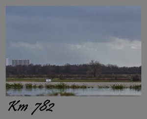 Jan.2012  1.Rheinhochwasser-14.jpg
