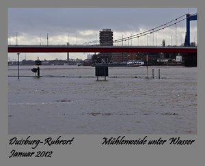 Jan.2012  1.Rheinhochwasser-16.jpg