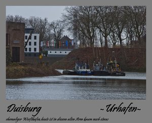 Jan.2012  1.Rheinhochwasser-25.jpg