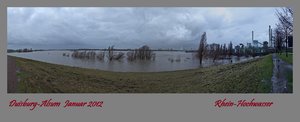 Jan.2012  1.Rheinhochwasser.jpg