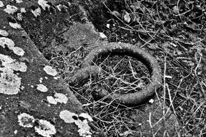 Jan.2012  1.Rheinhochwasser-6.jpg