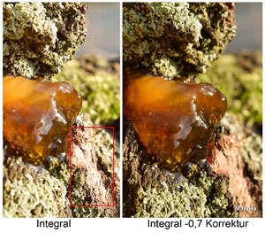 03_SDIM0325_Integral -07.jpg