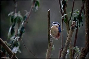 1_sample_104.jpg 1_sample_104.jpg