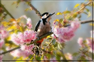 16_sample_2.jpg 16_sample_2.jpg