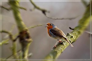 12_sample_1.jpg 12_sample_1.jpg