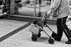 Bilderforum SDIM7367swpsf Gassi (c) PPf.jpg