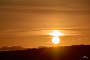 SDIM2059_Selektiv_f AlteSD15.jpg