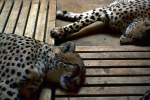 DSC0347klein.jpg DSC0347klein.jpg