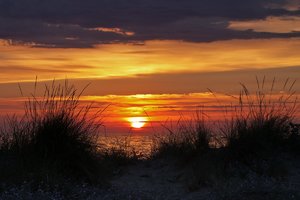 comp_IMG_0298.jpg comp_IMG_0298.jpg