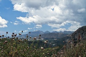 comp_IMG_0517.jpg comp_IMG_0517.jpg