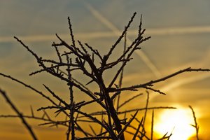 Januar 2012  Ruhrtal-12.jpg