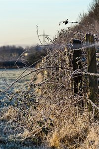 Januar 2012  Ruhrtal-26.jpg