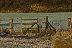 Januar 2012  Ruhrtal-53.jpg