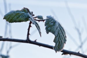 Januar 2012  Ruhrtal-10.jpg