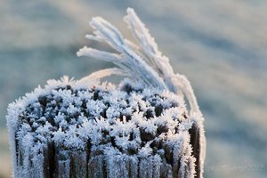 Januar 2012  Ruhrtal-11.jpg