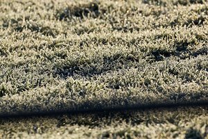 Januar 2012  Ruhrtal-34.jpg