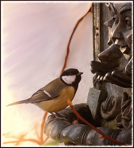 Brunnen mit Meise 500 kbBrunnen mit Meise.jpg Brunnen mit Meise 500 kbBrunnen mit Meise.jpg