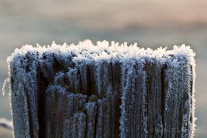 Januar 2012  Ruhrtal-9.jpg