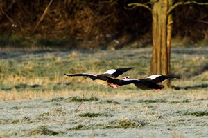 full-2.jpg full-2.jpg